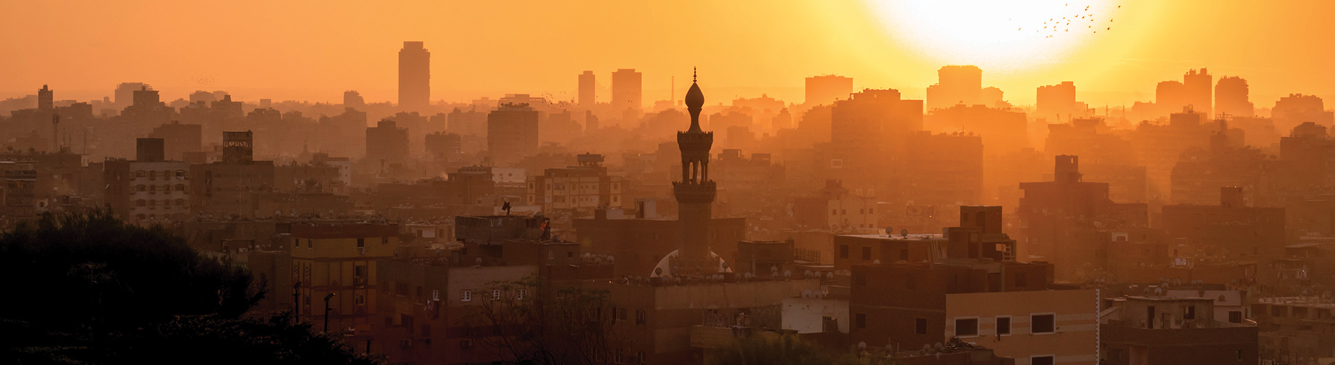 ICEJ_Middle-East-rooftop-landscape