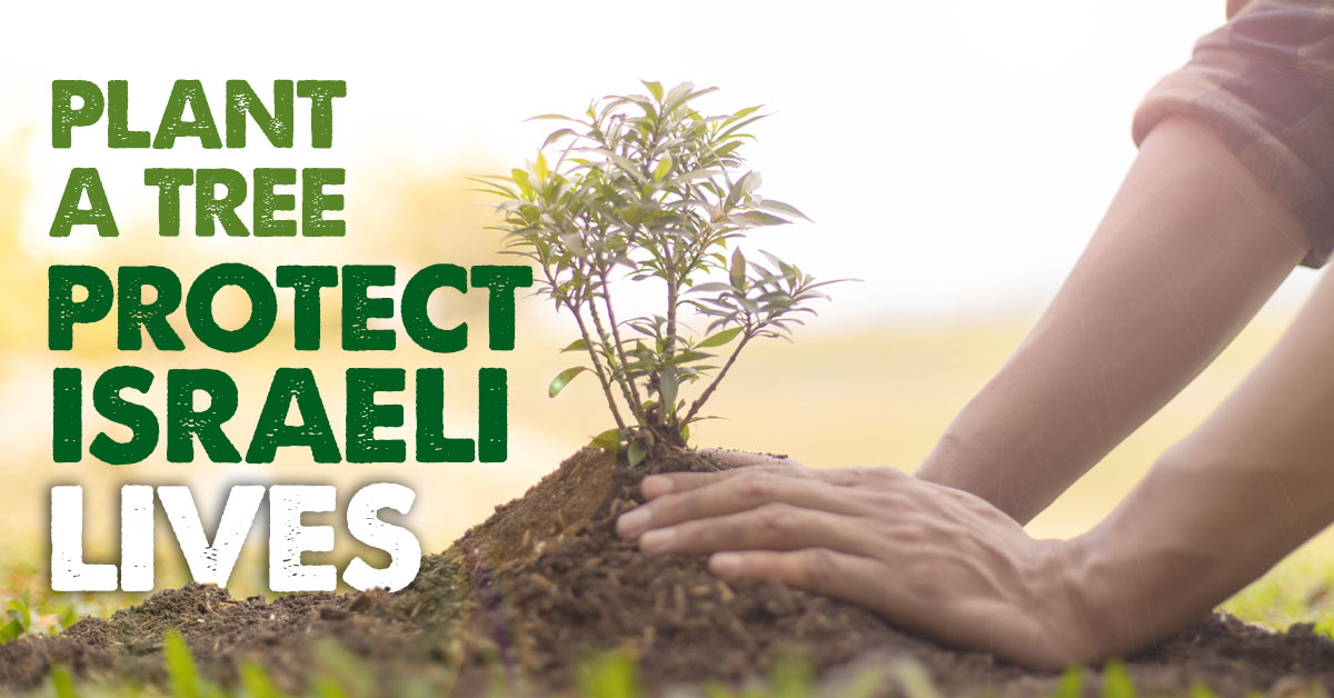 Plant a Tree to Protect Israeli Lives ICEJ USA Branch