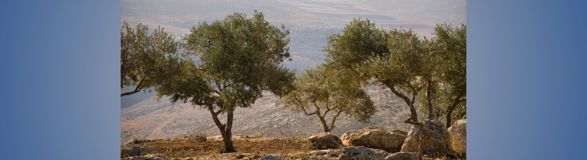 antisemitism and the church