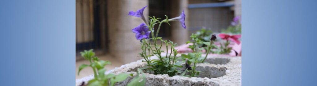 ICEJ Helps Cultivate Purpose for Israelis with Disabilities