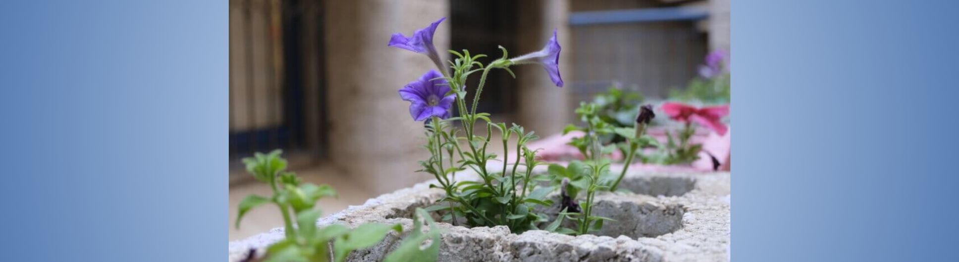 ICEJ Helps Cultivate Purpose for Israelis with Disabilities