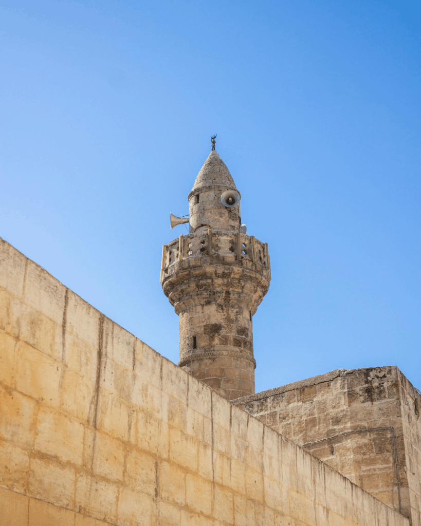 Watchman Tower from Jerusalem Wall 