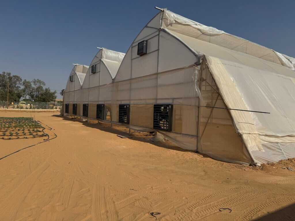 Picture shows 3 completed greenhouses