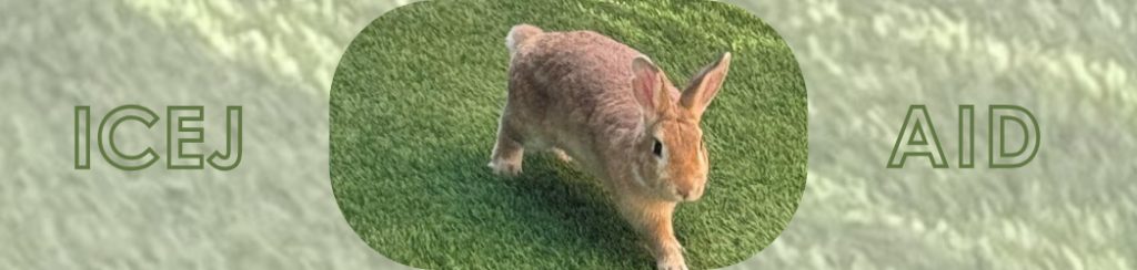 Read how the ICEJ is helping traumatized Israeli children recover emotionally after the horrors of October 7.