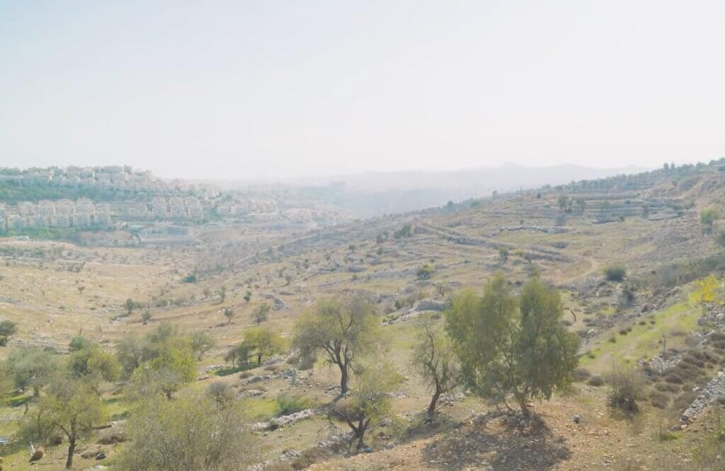 Fields just outside Bethlehem where shepherds tended their sheep in Jesus' day