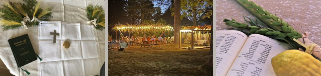 In this article discover how Sukkot reveals God’s blueprint for the restoration of Israel through prophecy, ingathering, and fulfillment in Messiah.