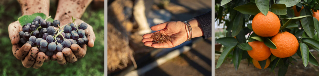 Blog Post Heading-28