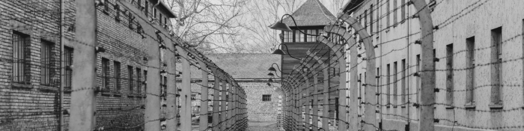 From Nazi roots to Joe Kent: Understanding the “Great Replacement” theory and why these modern antisemitic tropes are a dangerous repeat of history.