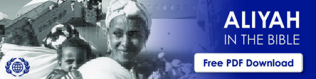 Learn more about French immigration to Israel in this free download