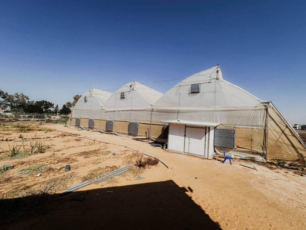 ICEJ’s greenhouse classroom at the Sde Nitzan agro-tech school